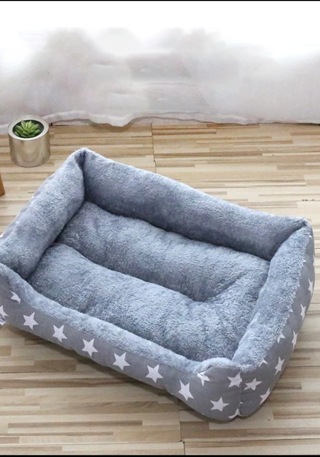 Dog Accessories